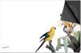 Dietrix Inductie Beschermer - 65x52cm - Jungle Wit Bladeren Vogel Bloem - DELUXE