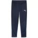 Puma Trainingsbroek puma teamgoal