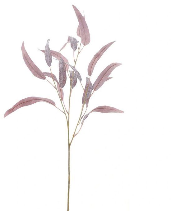 Buitengewoon Boet Buitengewoon de Boet Seed eucalyptus spray rood 74 cm kunsttak