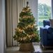 LOBERON Kerstboom Svalberg