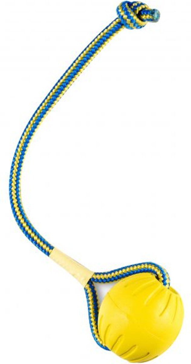 STARMARK SwingN Fling Apporteer speelgoed Large Geel