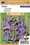 Sluis garden Veldsalie - Salvia pratensis - Inheemse bloemenzaden