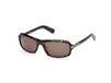 Adidas Originals OR0144 Dark Havana Unisex Zonnebrillen
