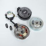 RSM Proconcept 2 Roues (P2R) Stator Rotor RSM-Ontsteking voor Peugeot 50 Bromfiets 103 6130068 / Elektro 6V Grote Kegel Nieuw