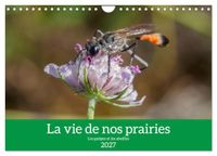 La Calvendo La vie de nos prairies - Les guêpes et les abeilles (Calendrier mural 2027 DIN A4 vertical)