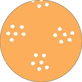 Bonateks Ronde digitaal bedrukte muismat, antislip onderkant, voor kantoor en thuis, diameter: 22 cm