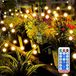 INF Firefly Lights 10 LED's 4-pack Blanc chaud