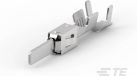 TE Connectivity 1-962916-1 Timer - Terminals