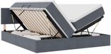 vidaXL LED-opbergbed met matras, donkergrijs, 180 x 200 cm, fluweel