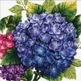 Needleart Lieveheersbeestje borduurset Hortensia, kruissteekset ca. 40 x 40 cm, complete set voor een hoekig borduurmotief, handwerkhobby voor volwassenen en kinderen vanaf 8 jaar
