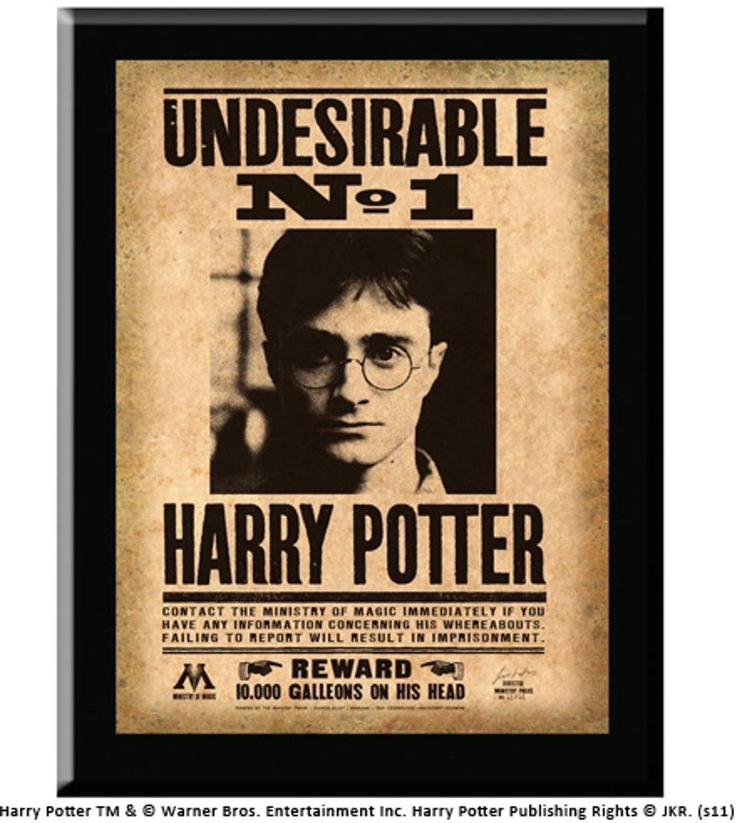 Noble Collection Muurplaat "Undesirable N1" Harry Potter