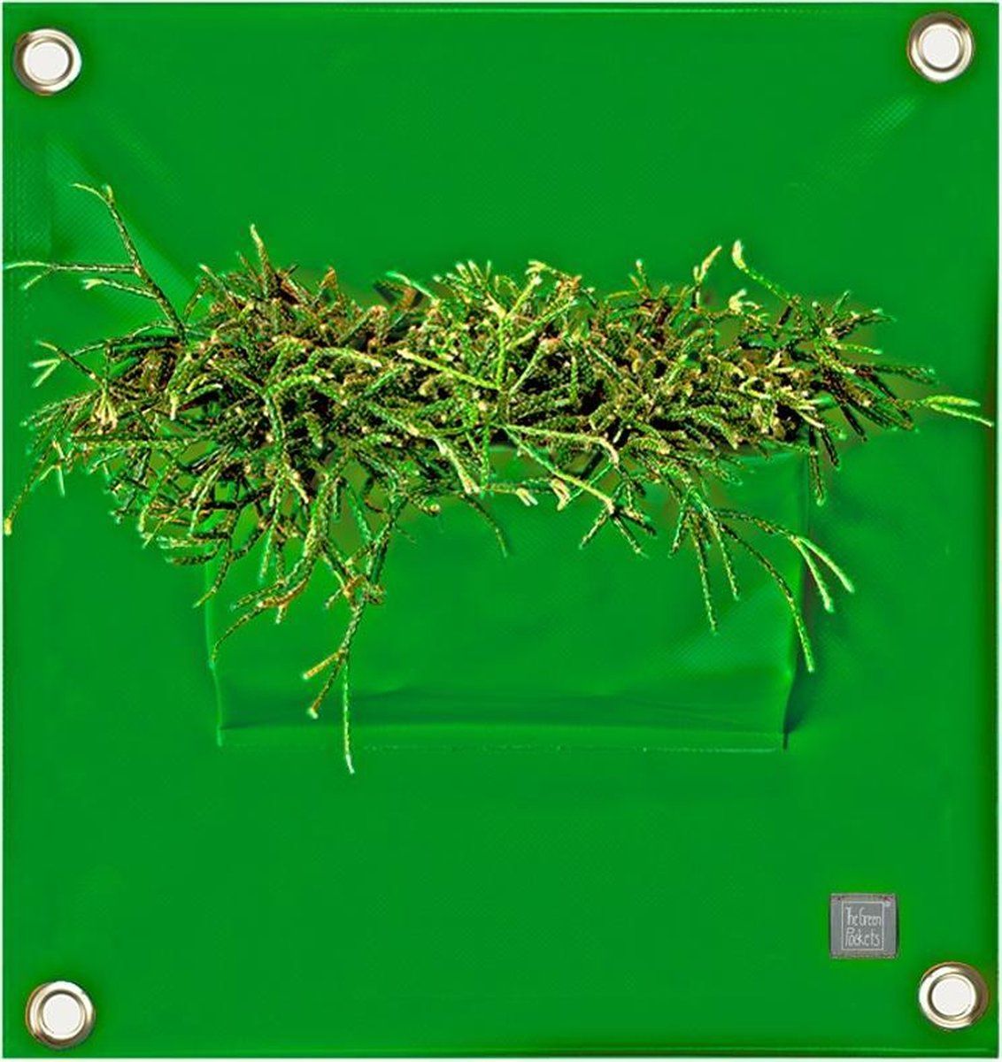 Bloomingwalls Plantenzak The Green Pockets - PEVA1 - Groen - EAN: 8595604400193