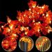 Ainkedin Herfstlichtketting, bladerenslinger, lichtketting, 30 esdoornbladeren, lengte 3 meter