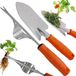 Ibenzoa® Inox désherbeur et kit d'arrosoir