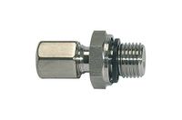 Rechte RIEGLER Rechte schroefverbinding, zachte afdichting, G 3/8, buitendiameter buis: 6 mm, PN max. 315 bar, roestvrij staal 1.4571