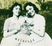 Melville 17 TV Themes