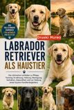Labrador Retriever ALS Haustier