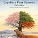 Capybara Four Seasons in Japan: A Bold & Easy Japanese-Inspired Coloring Book
