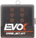 Evok Dell Orto 6 mm 125-148 121681007 Gicleur principal transparent