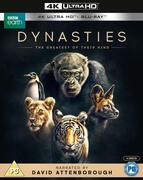 - Dynasties (4K UHD + bluray) (Import blu-ray (4K)