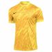Nike Heren M Nk Df Gardien V Gk JSY Ss Shirt, Tour Yellow/University Gold/Zwart, M