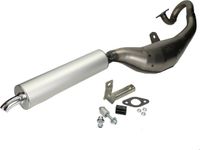 Tecnigas échappement pour Honda 50 pk Wallaroo mobylette 060917291 / Next R gris