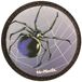 McNeill accessoires scolaire McAddy Spinne bleu