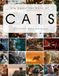 Big Beautiful Book of Cats: Cat Coffee Table Picture Book | Cat Breed Photography Images | Feline Home Decor Accent Piece