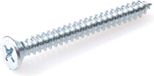 Hoenderdaal Fasteners Hoenderdaal Plaatschroef Vz Pk PH2 Din7982C 4.8X19 | 200 stuks