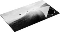 Chefcare Inductie Beschermer Silhouet Zwerm Vogels 95x55cm - Zwart Wit