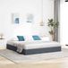 Maison Exclusive - Lit coffre exclusif, couleur gris foncé, 183 x 213 cm, revêtement en velours