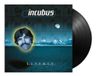 Sonic Rendezvous Incubus - Science