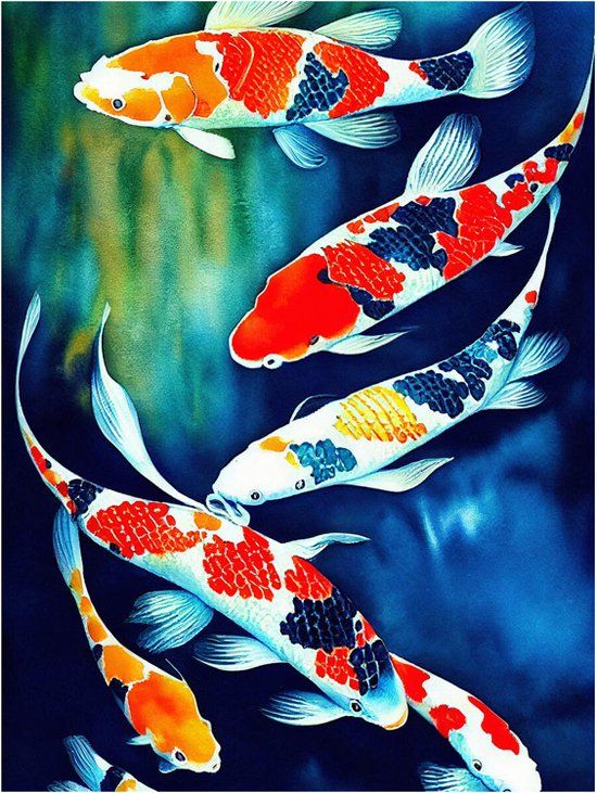 Diamond Painting Set - Koi Karpers - 30x40cm - Vierkante Steentjes