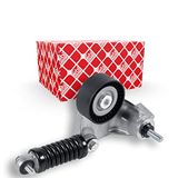 febi bilstein 24429 riemspanner voor V-ribriemen, met schroef, 1 stuk