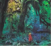 Jacco Gardner Cabinet Of Curiosities