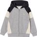 Vertbaudet Jongens Sweater met rits, capuchon en colorblock - gemêleerd grijs - Maat 140