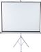 Nobo Projectiescherm Wandmodel Breedbeeld 16:10 - 1750 x 1093 mm