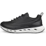 Ecco Schoenen dames Ecco Biom 720 Lea GTXS