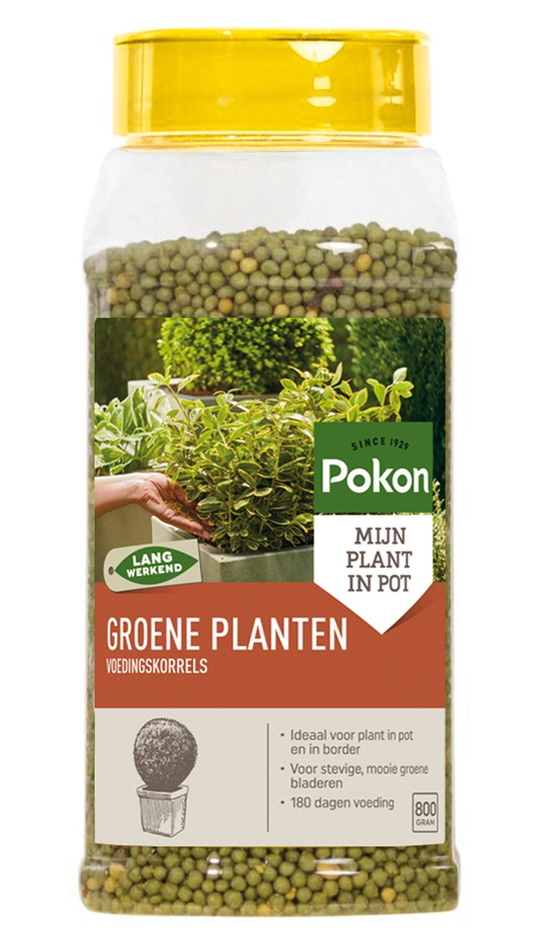 Pokon Groene Planten Voedingskorrels 800gr