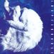 Whirlpool LP Coloured Vinyl White/Black Marble