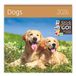 Helma365 2026 Kalender schrijven 30 x 30 honden