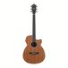 Ibanez AEG7MH-OPN Pore Naturelle Ouverte