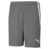 Puma Teamliga Short Heren - Grijs | Maat: 3XL