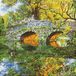 Diamond Dotz DD12.059 Country Bridge Diamond Painting Kit