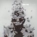 Warner Music Group Germany Holding Gmbh Linkin Park LP - Living Things - rouge - 2026