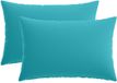 vidaXL - Kussensloop - 2 stuks - HEERLEN - Turquoise - 50 x 75 cm - Polyester