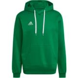 Adidas Hooded sweatshirt Entrada 22