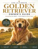 The Ultimate Golden Retriever Owner's Guide