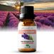 Zenful Lavendel Echte Bulgarije - Etherische / Essentiële Olie - Puur & Biologisch - 10 ml