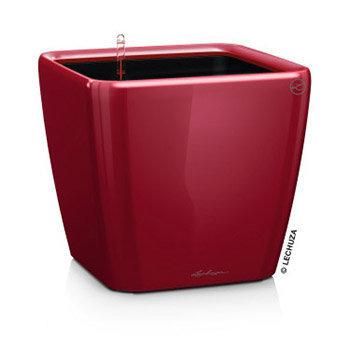 Lechuza Quadro Premium 21 LS Scharlakenrood hoogglans ALL-IN-ONE
